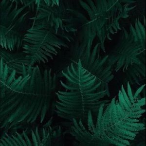 Meet your Posher, Ruby